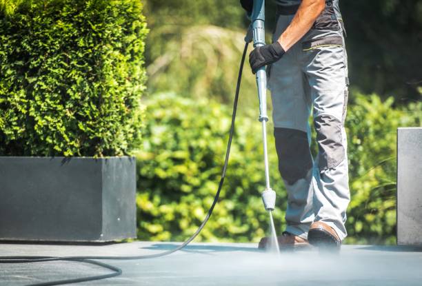 Best Pre-Holiday Cleaning  in Magnolia Springs, AL