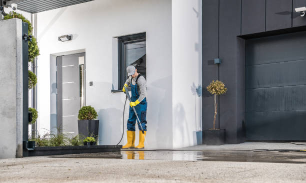 Trusted Magnolia Springs, AL Pressure Washing Services Experts